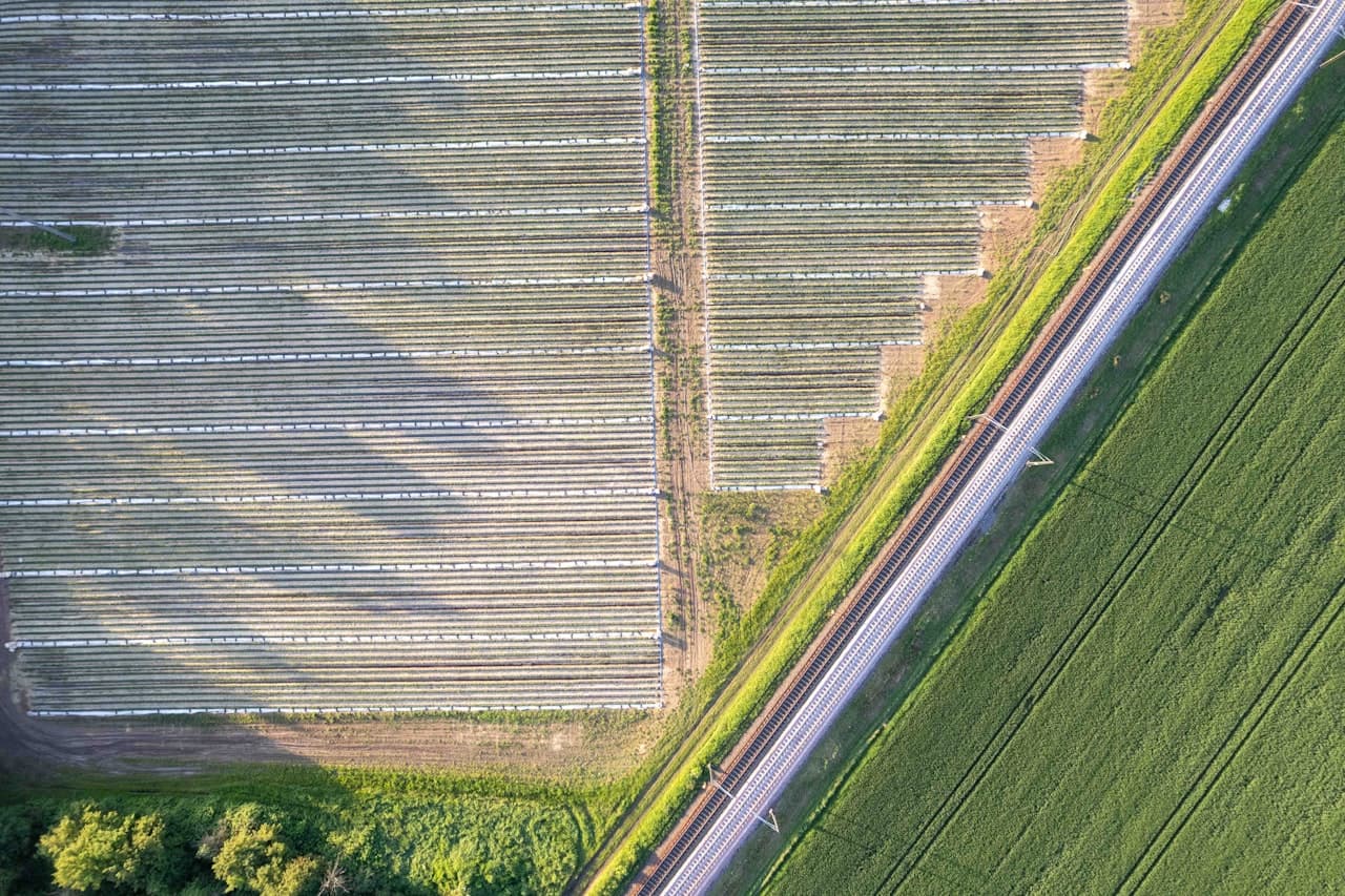 Agriculture